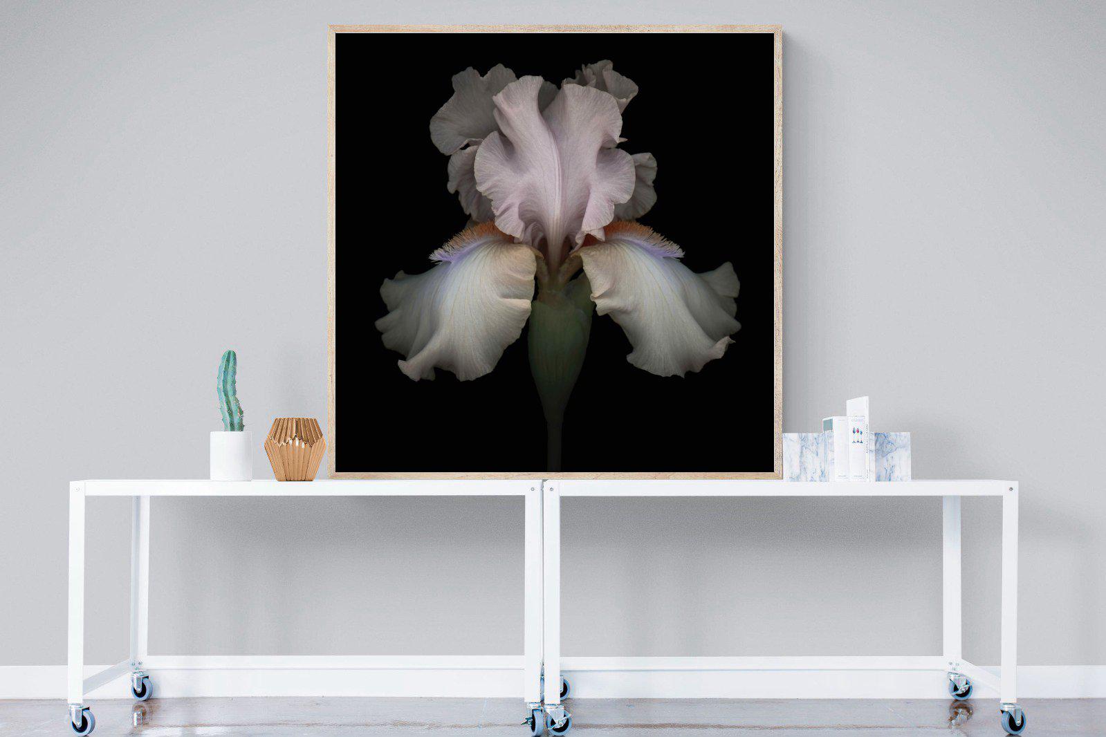 Pink Iris-Wall_Art-120 x 120cm-Mounted Canvas-Wood-Pixalot