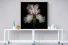 Pink Iris-Wall_Art-120 x 120cm-Mounted Canvas-Wood-Pixalot