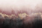 Pink Sky-Wall_Art-Pixalot