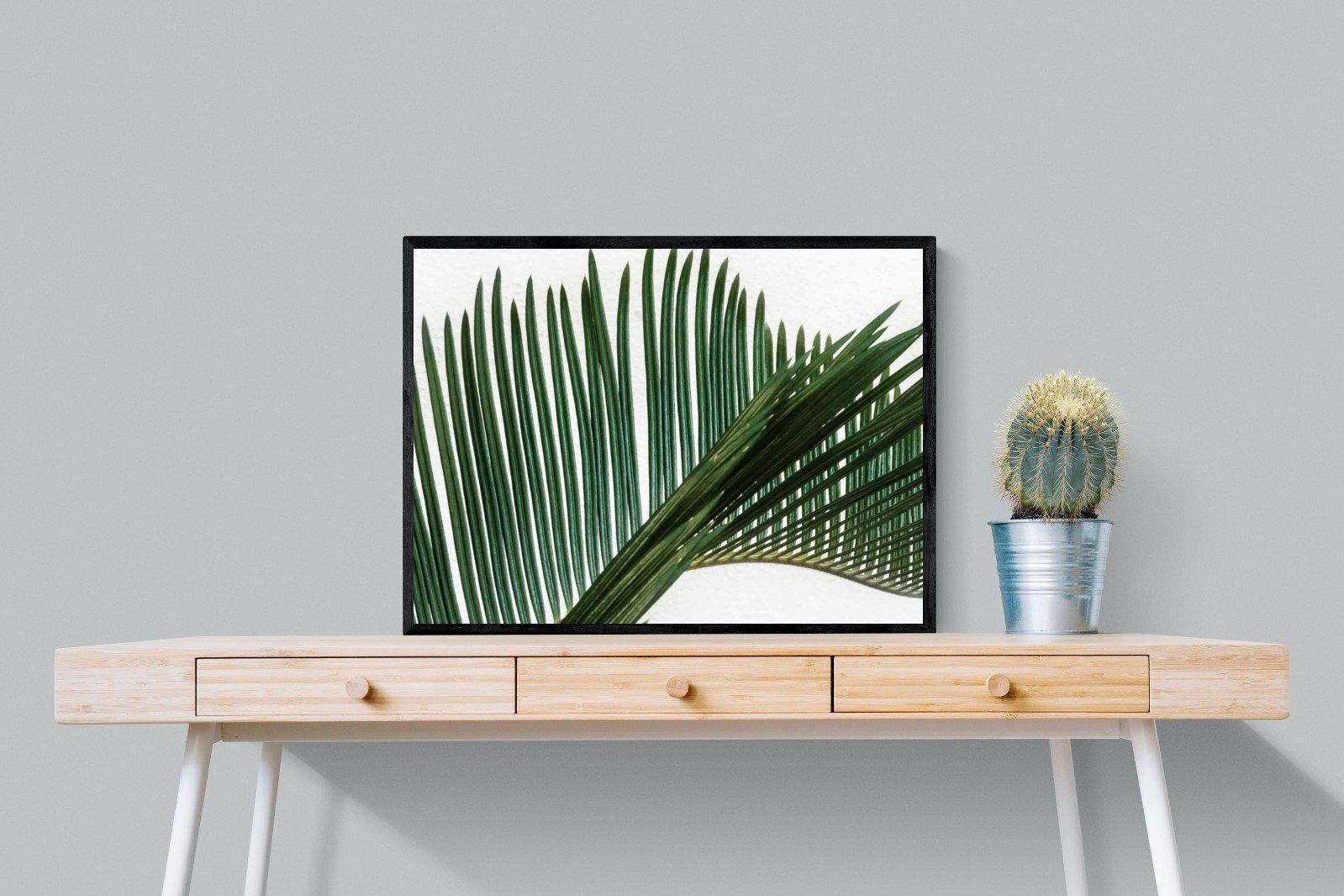 Pointy Frond-Wall_Art-80 x 60cm-Mounted Canvas-Black-Pixalot