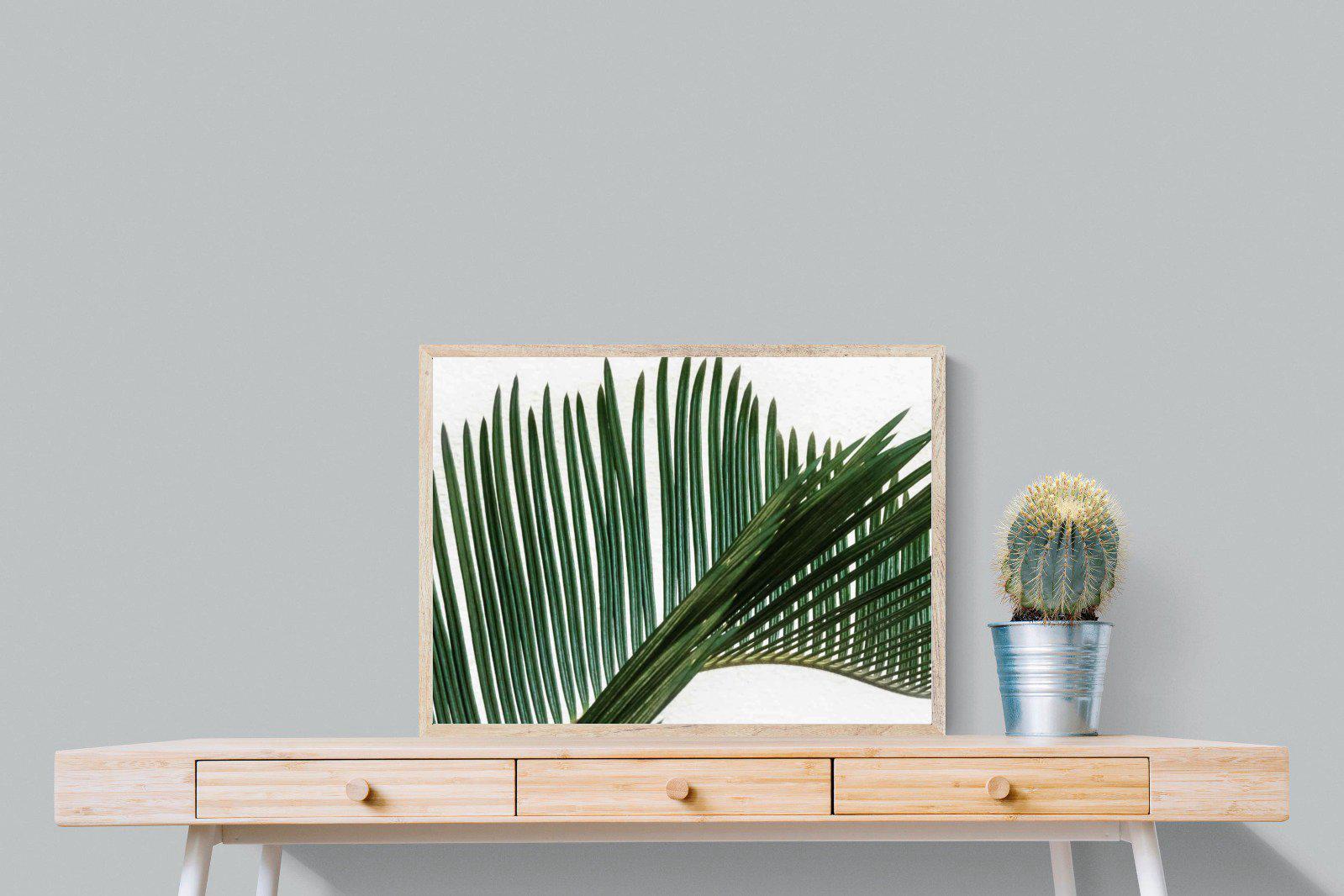 Pointy Frond-Wall_Art-80 x 60cm-Mounted Canvas-Wood-Pixalot