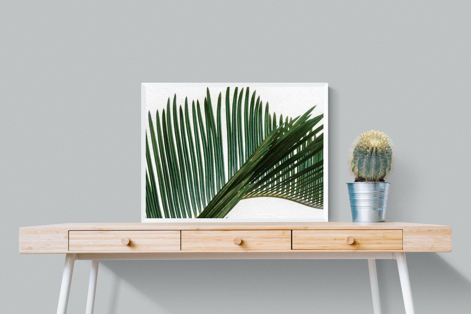 Pointy Frond-Wall_Art-80 x 60cm-Mounted Canvas-White-Pixalot