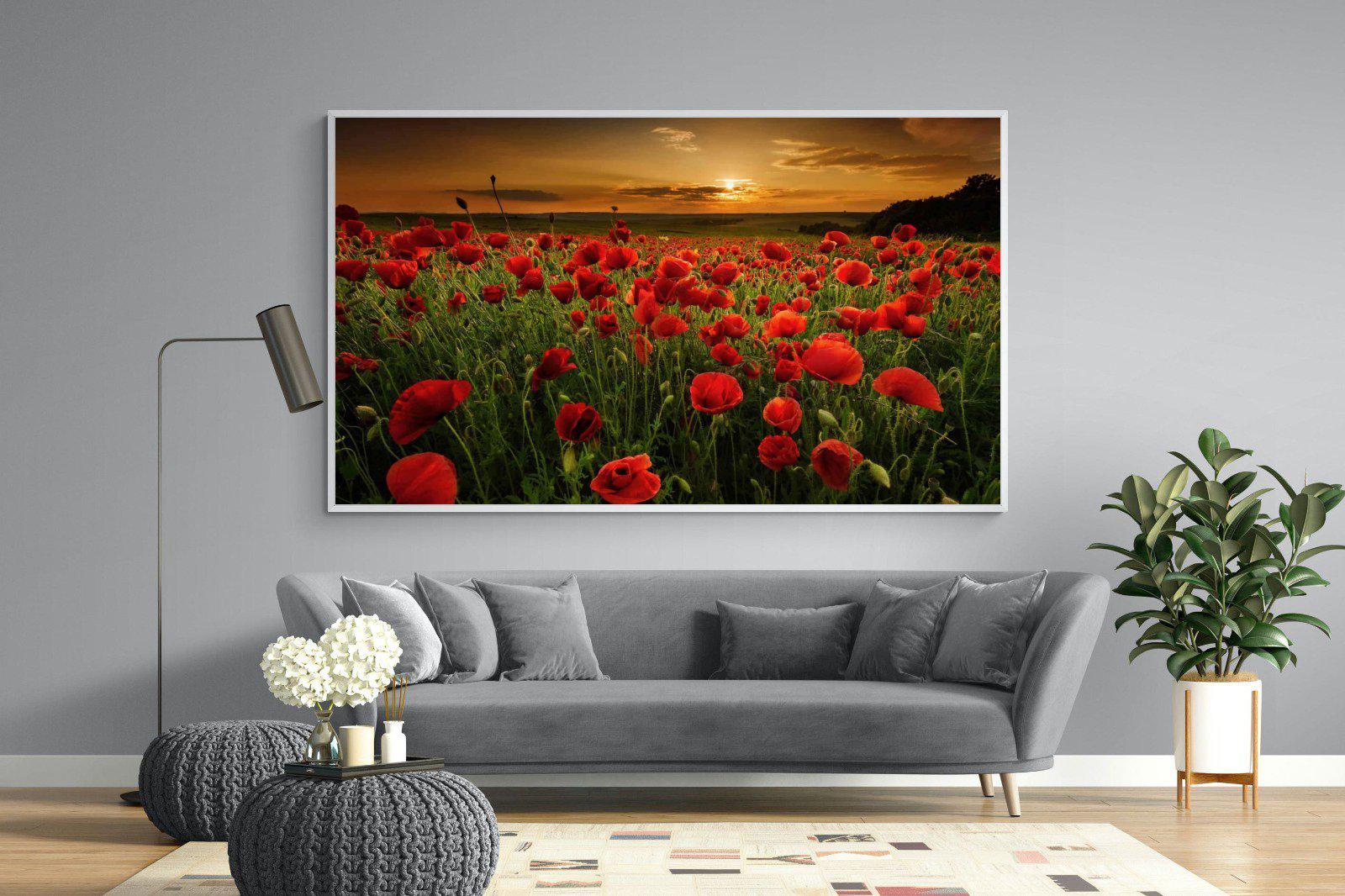 Poppy Fields-Wall_Art-220 x 130cm-Mounted Canvas-White-Pixalot
