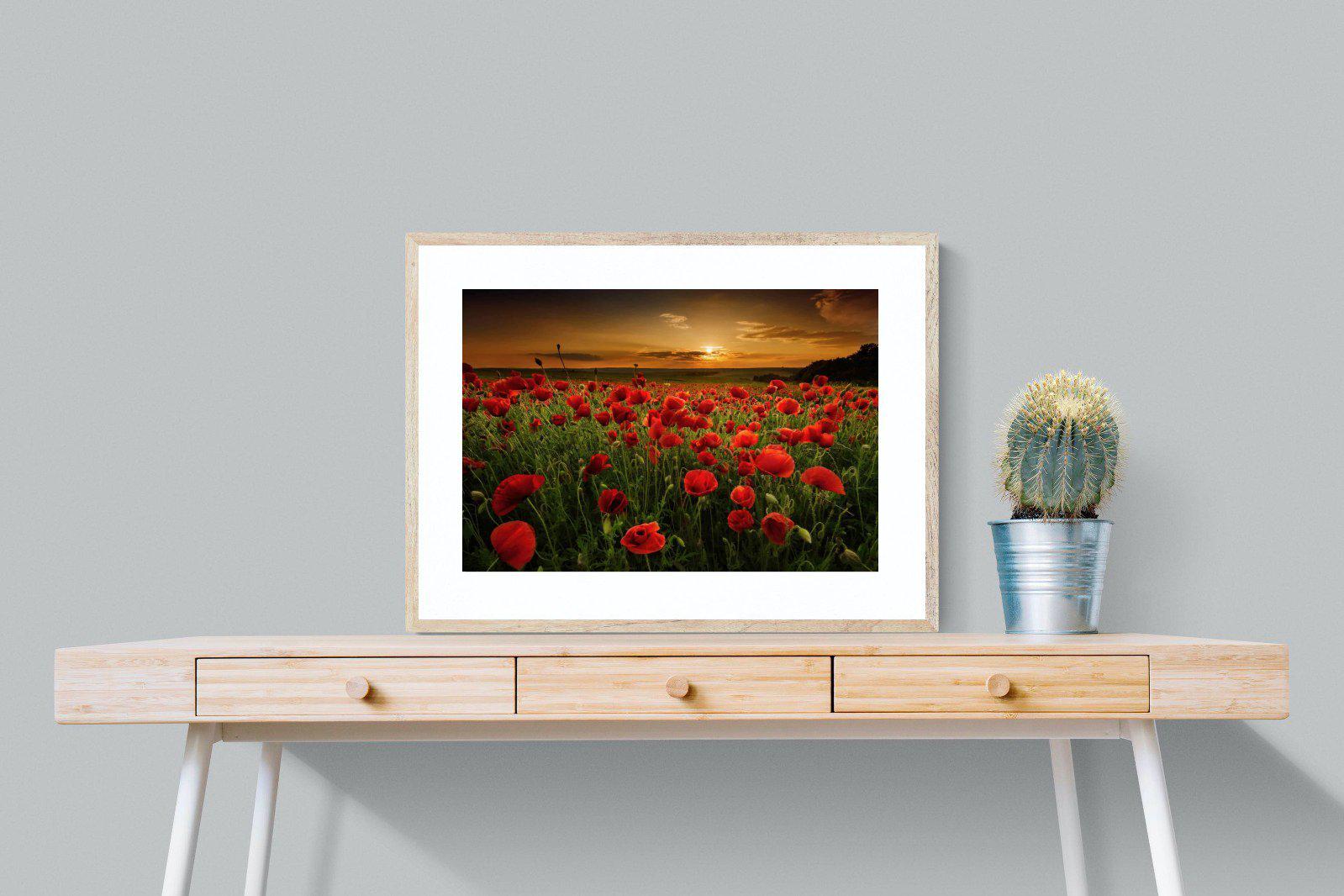 Poppy Fields-Wall_Art-80 x 60cm-Framed Print-Wood-Pixalot