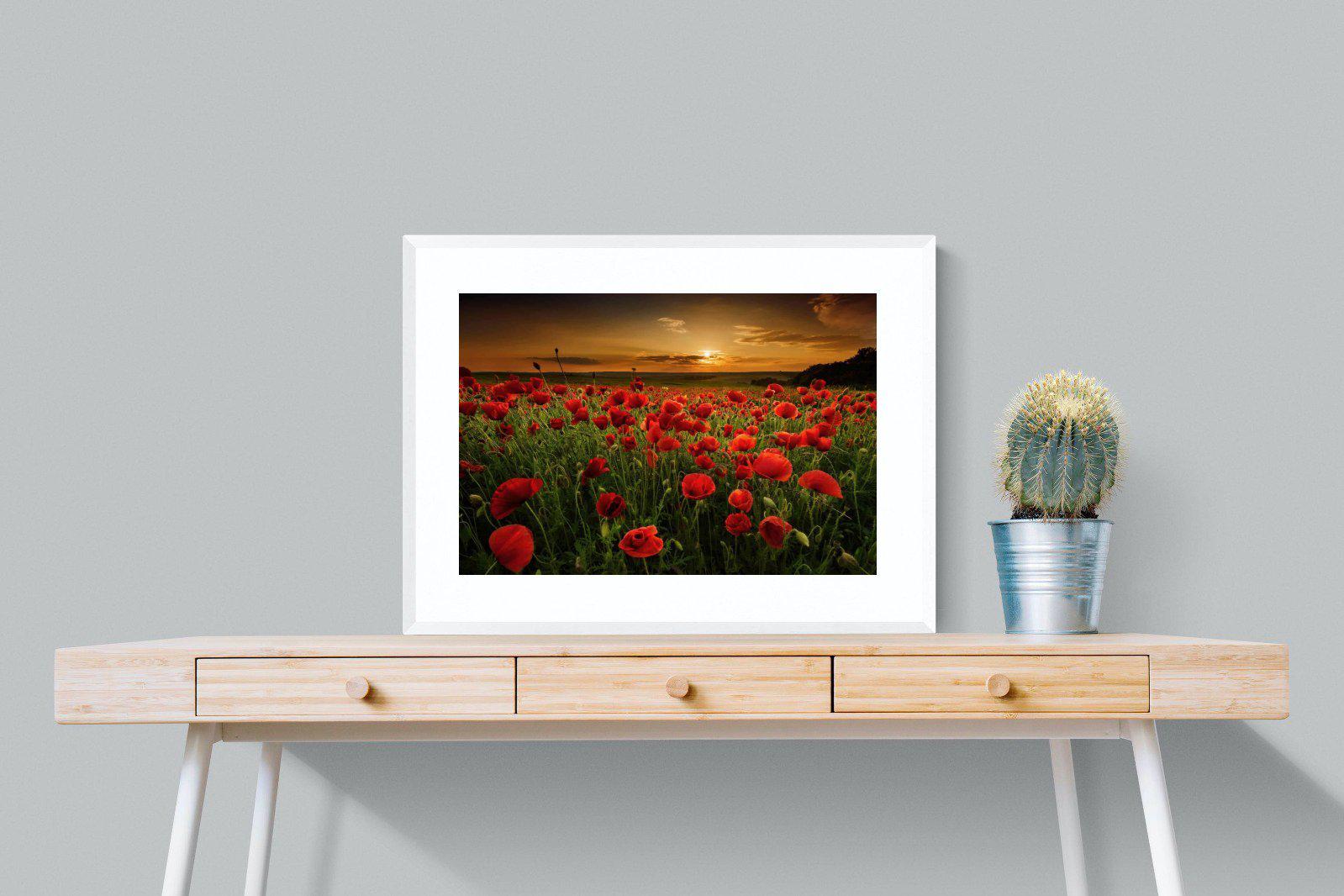 Poppy Fields-Wall_Art-80 x 60cm-Framed Print-White-Pixalot