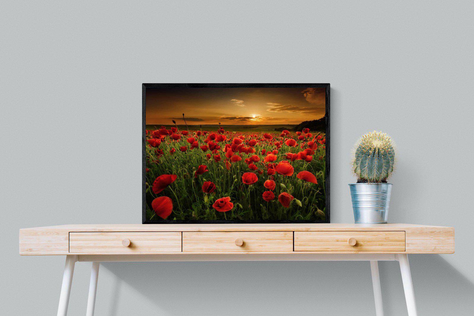 Poppy Fields-Wall_Art-80 x 60cm-Mounted Canvas-Black-Pixalot