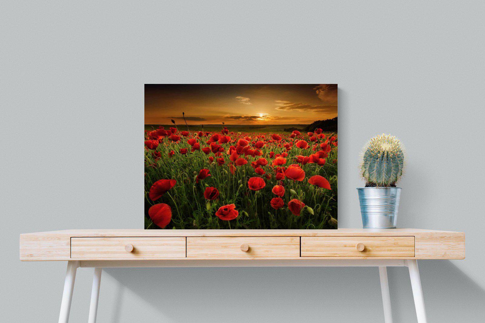 Poppy Fields-Wall_Art-80 x 60cm-Mounted Canvas-No Frame-Pixalot
