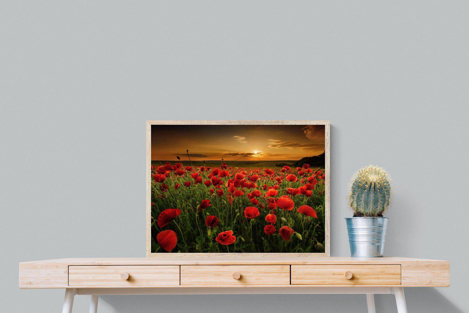 Poppy Fields-Wall_Art-80 x 60cm-Mounted Canvas-Wood-Pixalot