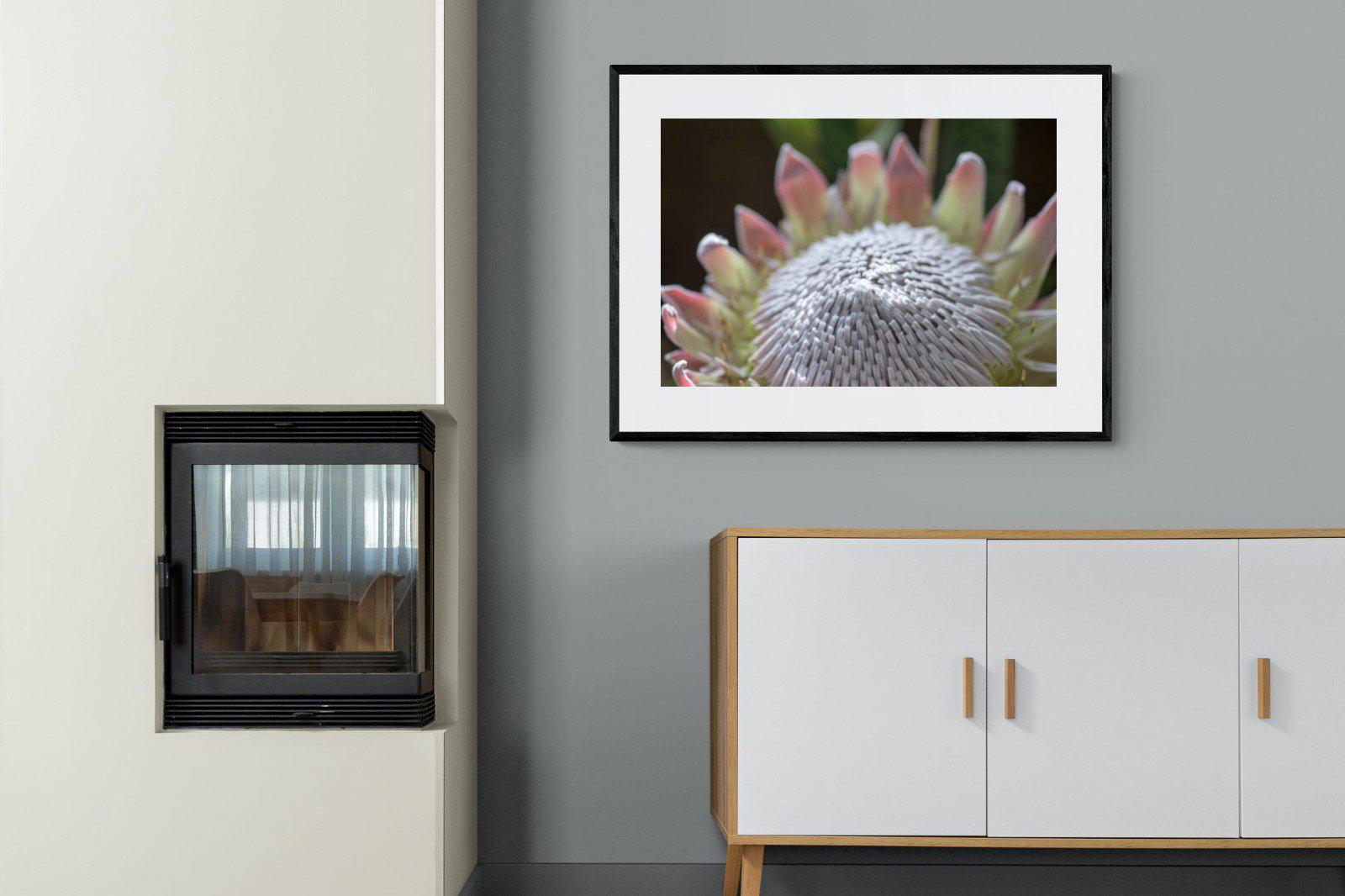Protea Bloom-Wall_Art-100 x 75cm-Framed Print-Black-Pixalot
