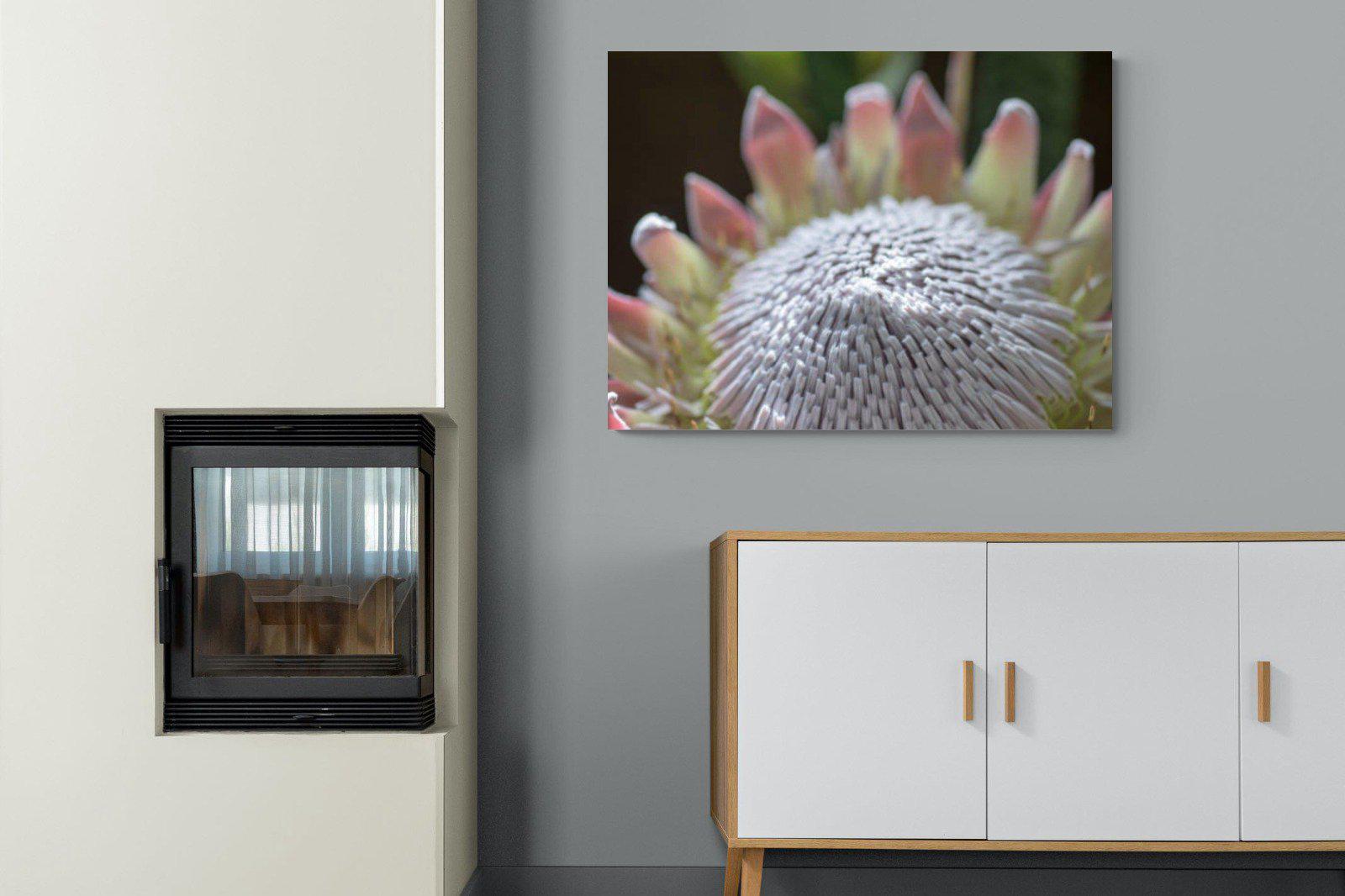 Protea Bloom-Wall_Art-100 x 75cm-Mounted Canvas-No Frame-Pixalot
