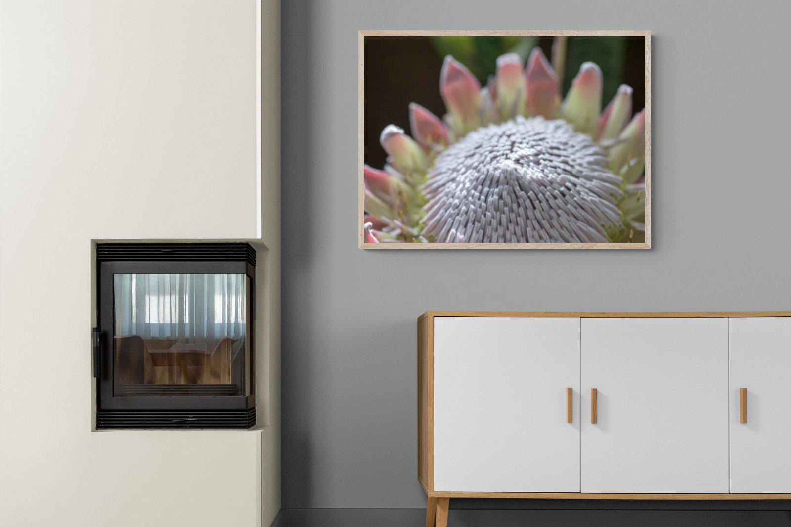 Protea Bloom-Wall_Art-100 x 75cm-Mounted Canvas-Wood-Pixalot
