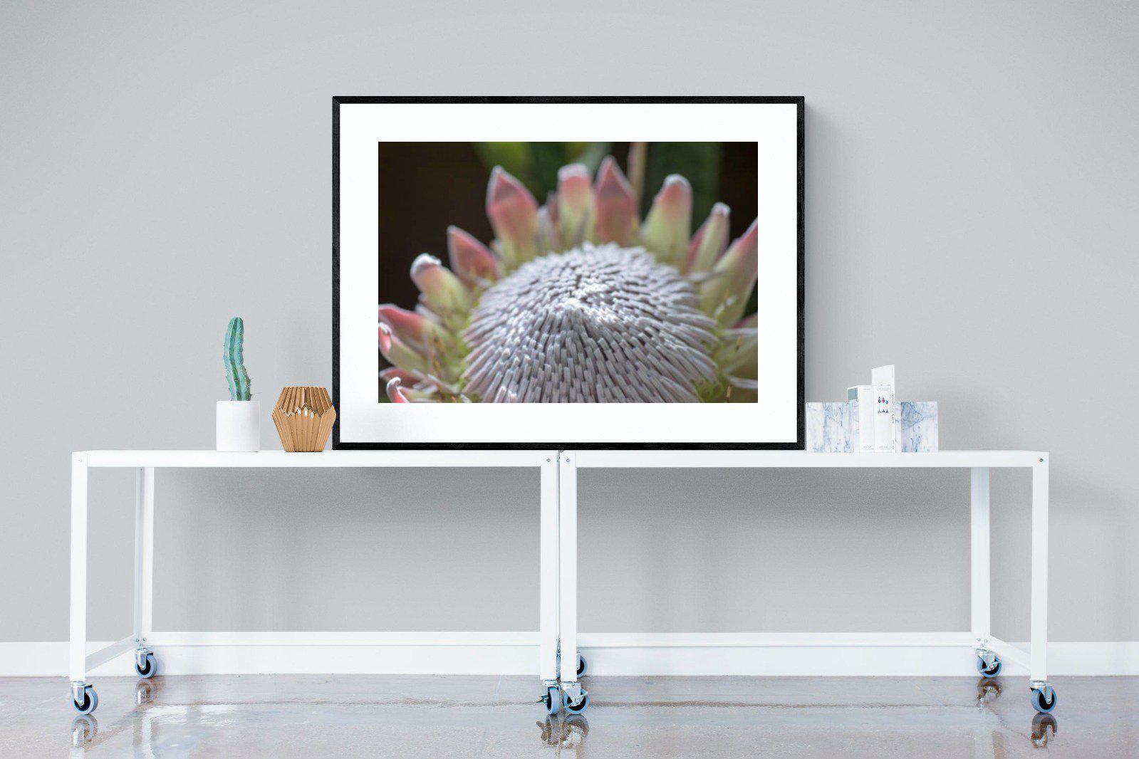 Protea Bloom-Wall_Art-120 x 90cm-Framed Print-Black-Pixalot