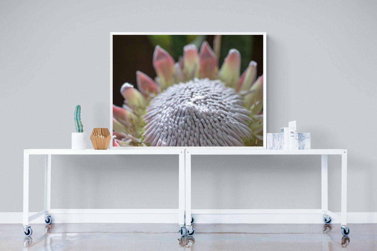 Protea Bloom-Wall_Art-120 x 90cm-Mounted Canvas-White-Pixalot