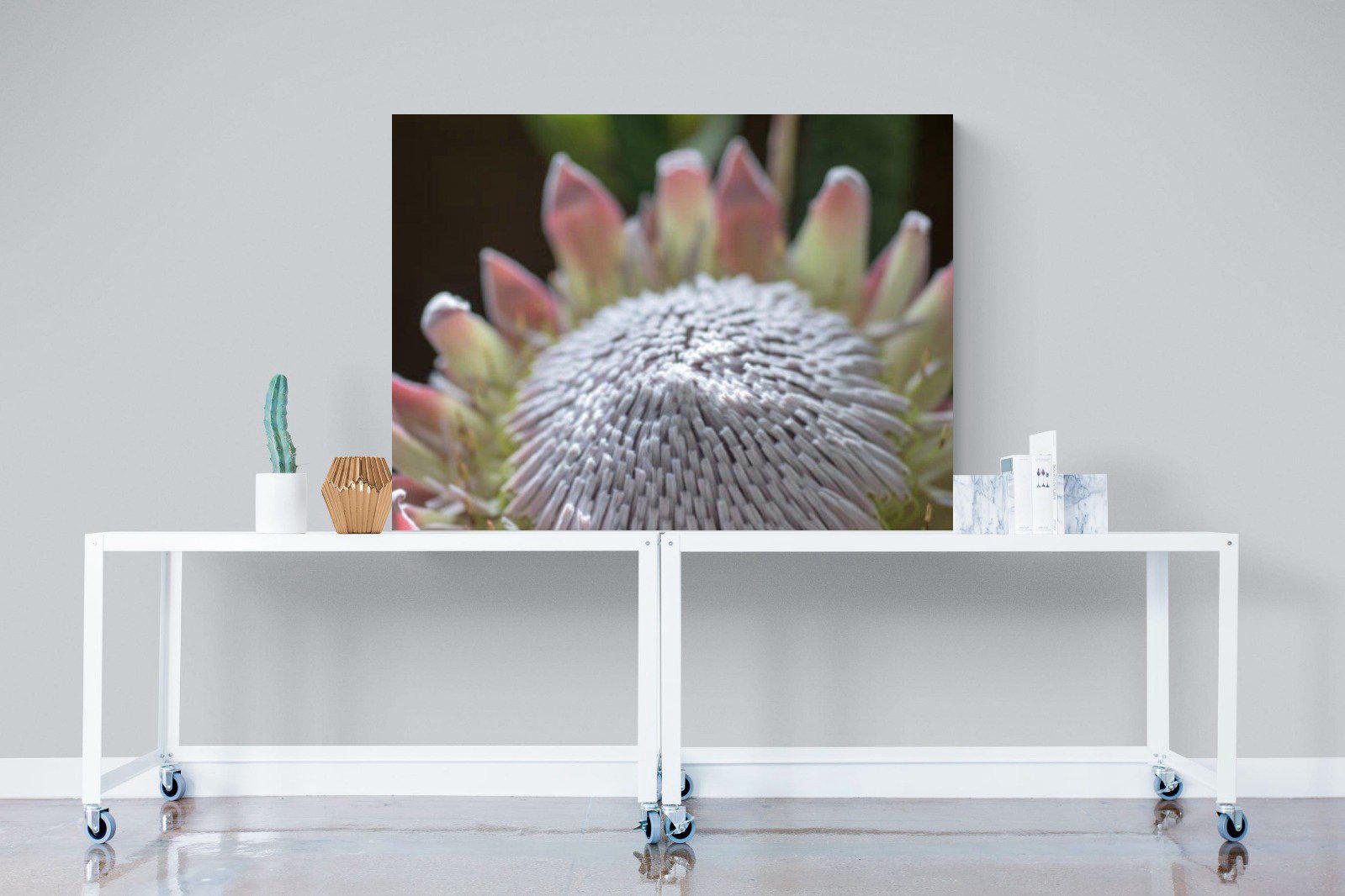 Protea Bloom-Wall_Art-120 x 90cm-Mounted Canvas-No Frame-Pixalot