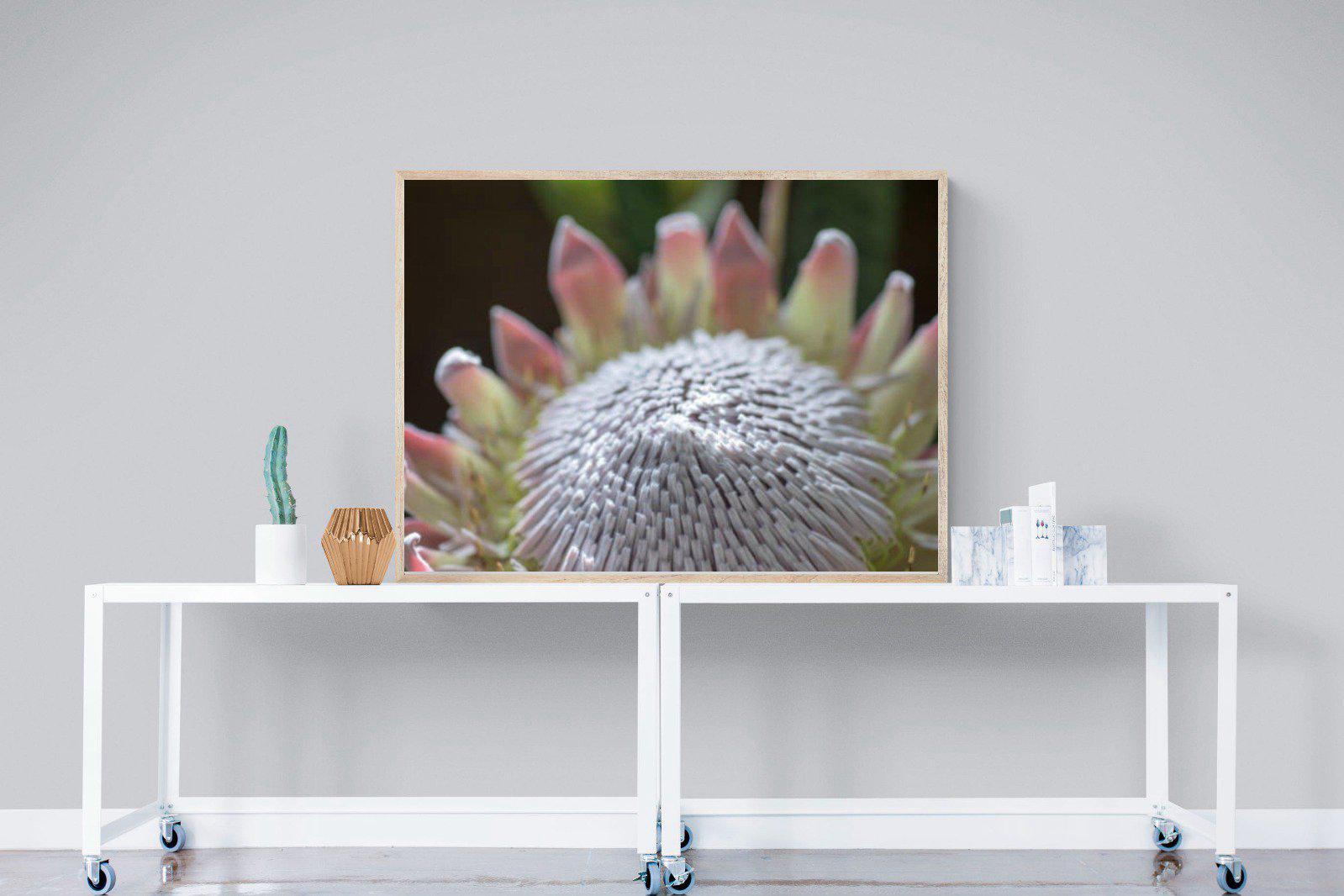 Protea Bloom-Wall_Art-120 x 90cm-Mounted Canvas-Wood-Pixalot