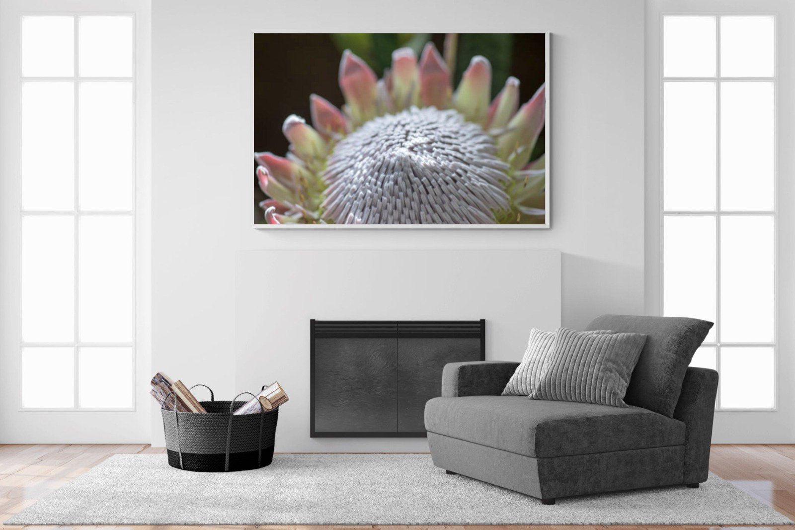 Protea Bloom-Wall_Art-150 x 100cm-Mounted Canvas-White-Pixalot