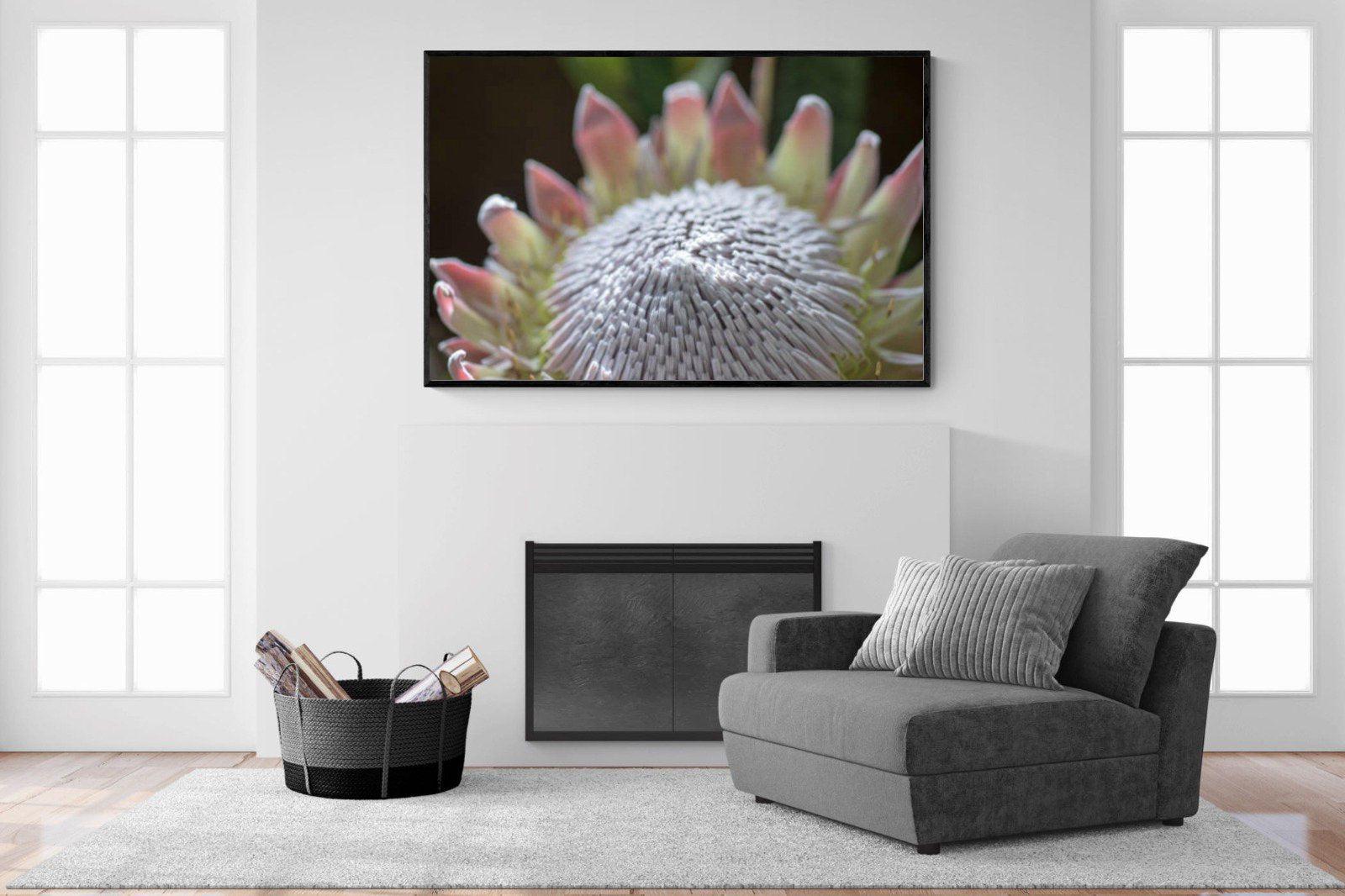 Protea Bloom-Wall_Art-150 x 100cm-Mounted Canvas-Black-Pixalot