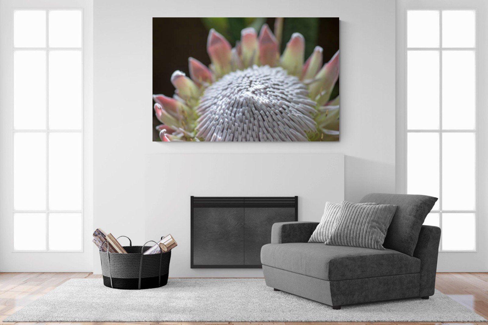 Protea Bloom-Wall_Art-150 x 100cm-Mounted Canvas-No Frame-Pixalot