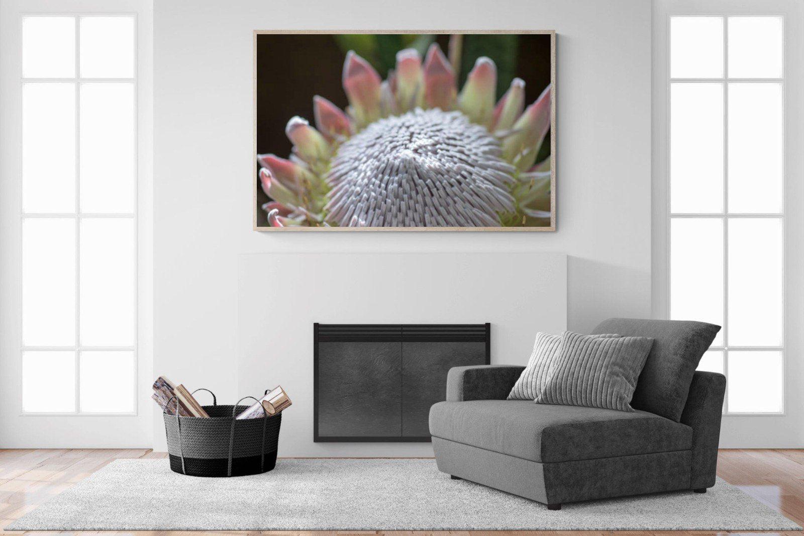 Protea Bloom-Wall_Art-150 x 100cm-Mounted Canvas-Wood-Pixalot