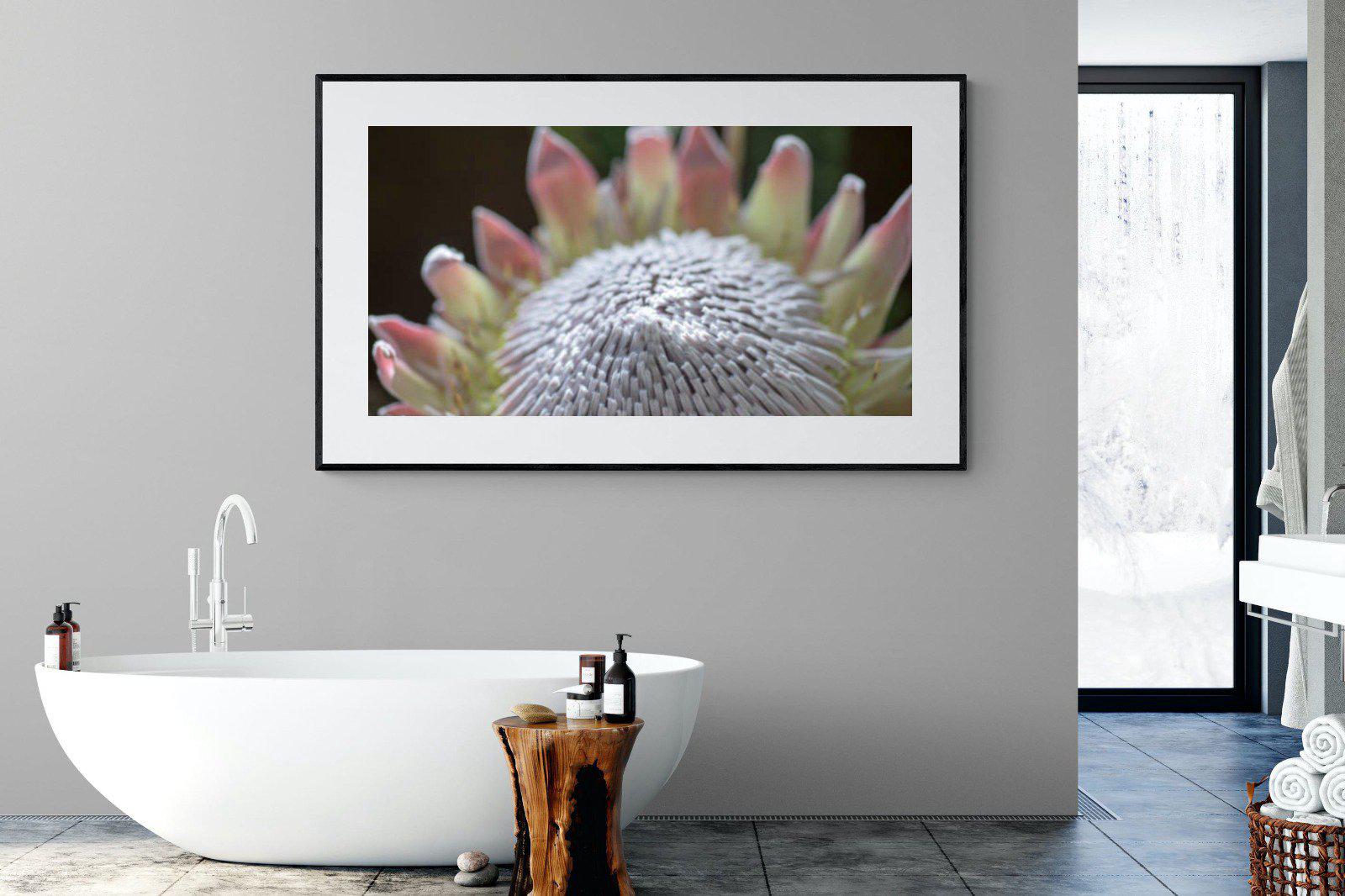 Protea Bloom-Wall_Art-180 x 110cm-Framed Print-Black-Pixalot