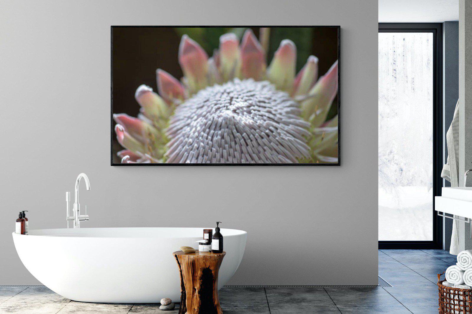 Protea Bloom-Wall_Art-180 x 110cm-Mounted Canvas-Black-Pixalot