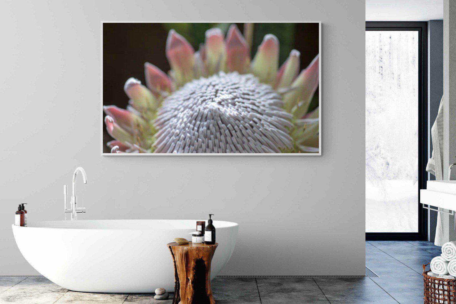 Protea Bloom-Wall_Art-180 x 110cm-Mounted Canvas-White-Pixalot