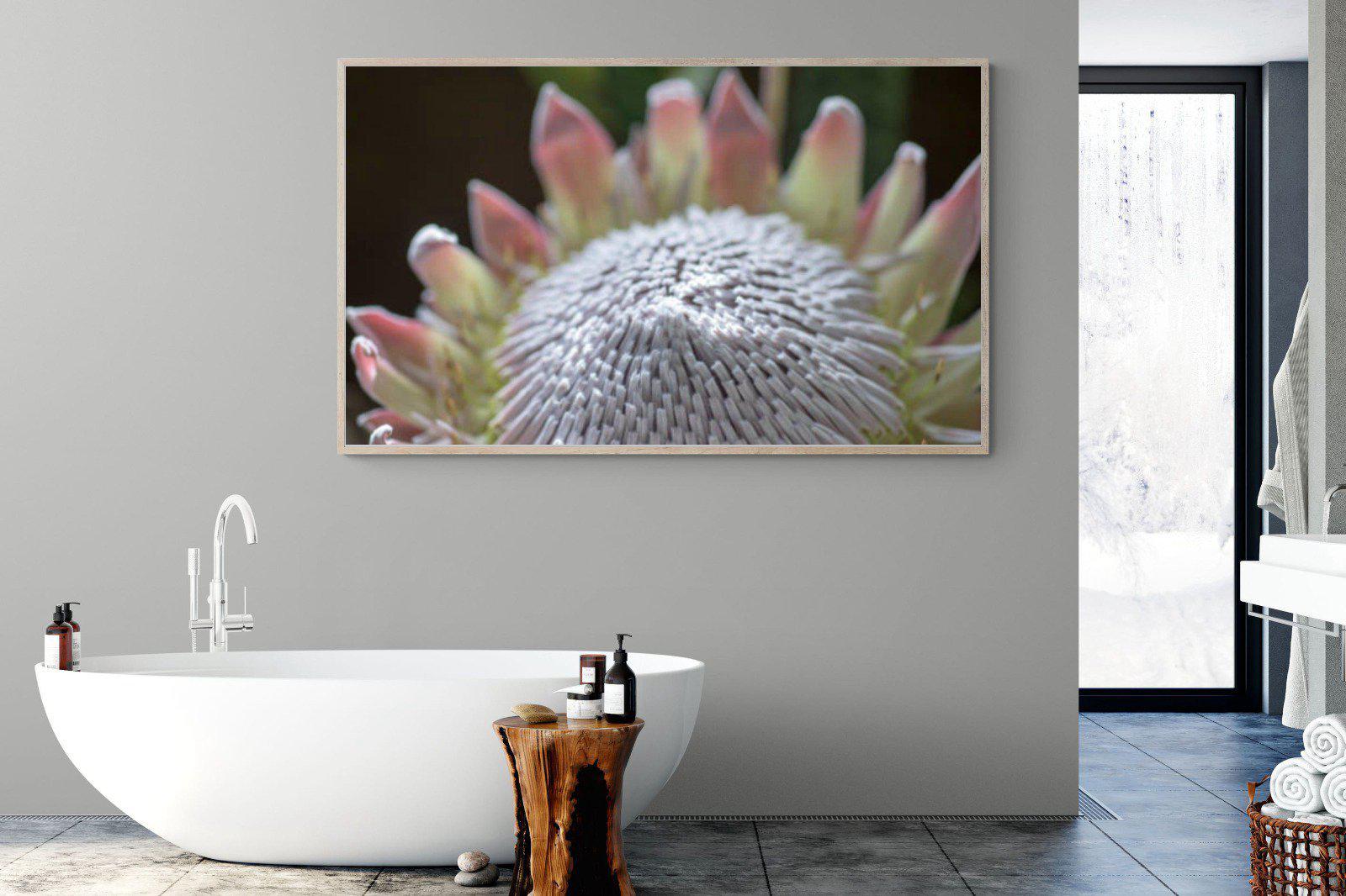 Protea Bloom-Wall_Art-180 x 110cm-Mounted Canvas-Wood-Pixalot
