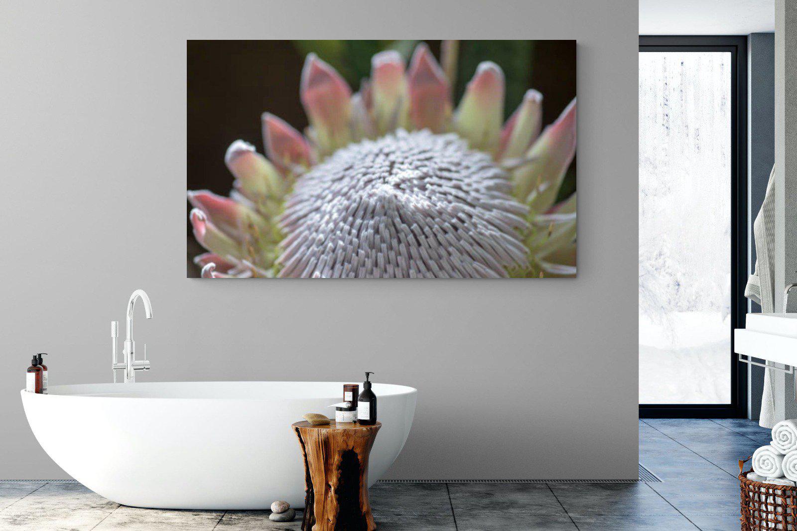 Protea Bloom-Wall_Art-180 x 110cm-Mounted Canvas-No Frame-Pixalot