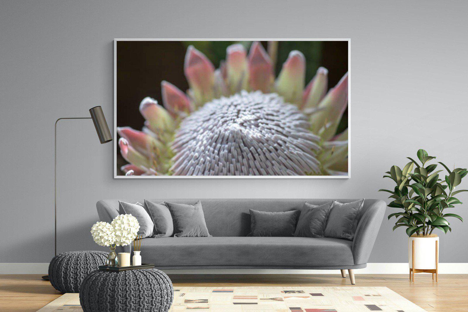 Protea Bloom-Wall_Art-220 x 130cm-Mounted Canvas-White-Pixalot