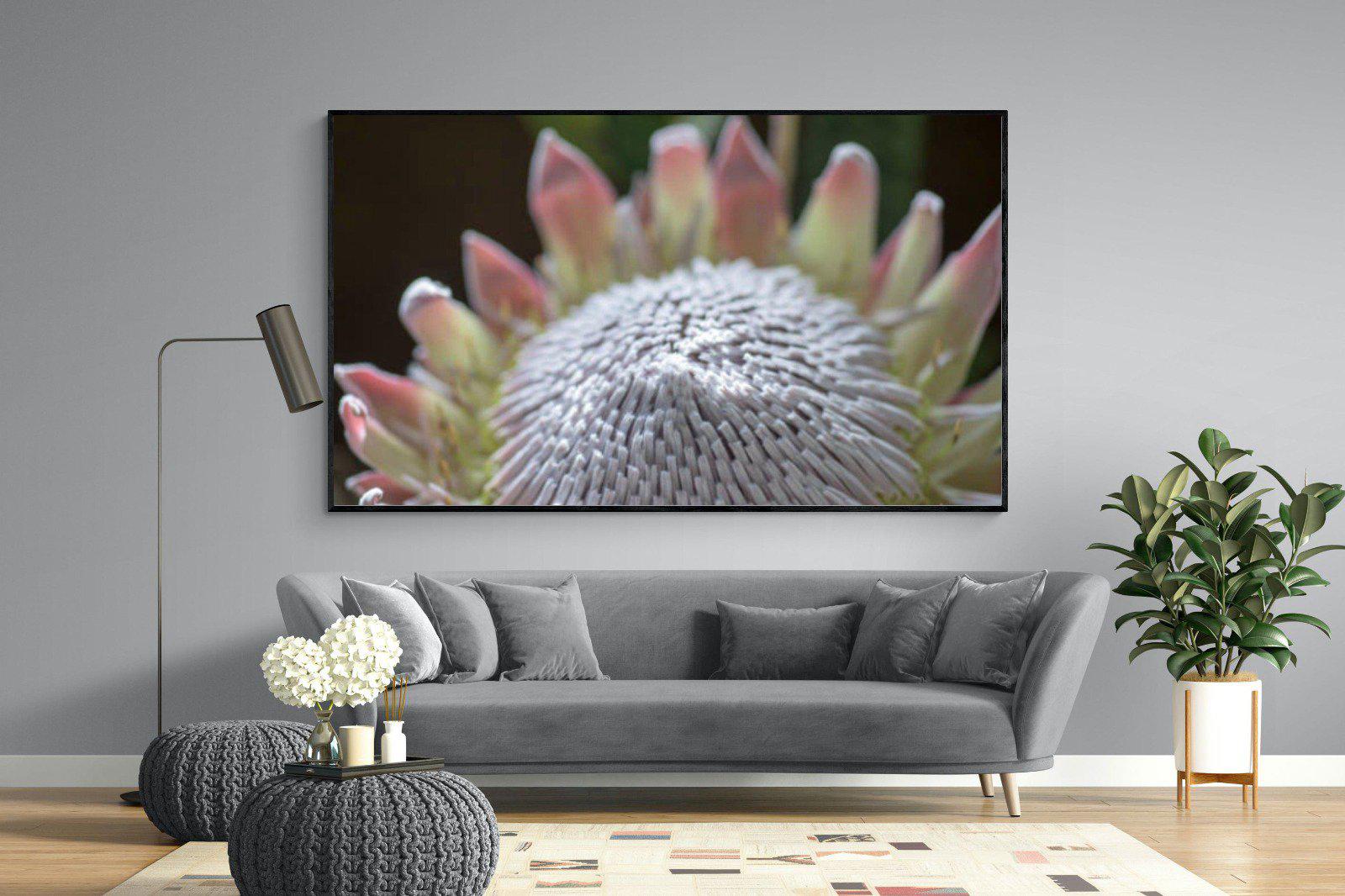 Protea Bloom-Wall_Art-220 x 130cm-Mounted Canvas-Black-Pixalot