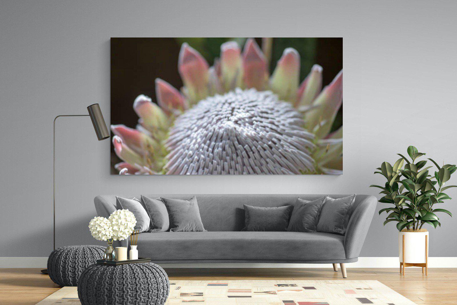 Protea Bloom-Wall_Art-220 x 130cm-Mounted Canvas-No Frame-Pixalot
