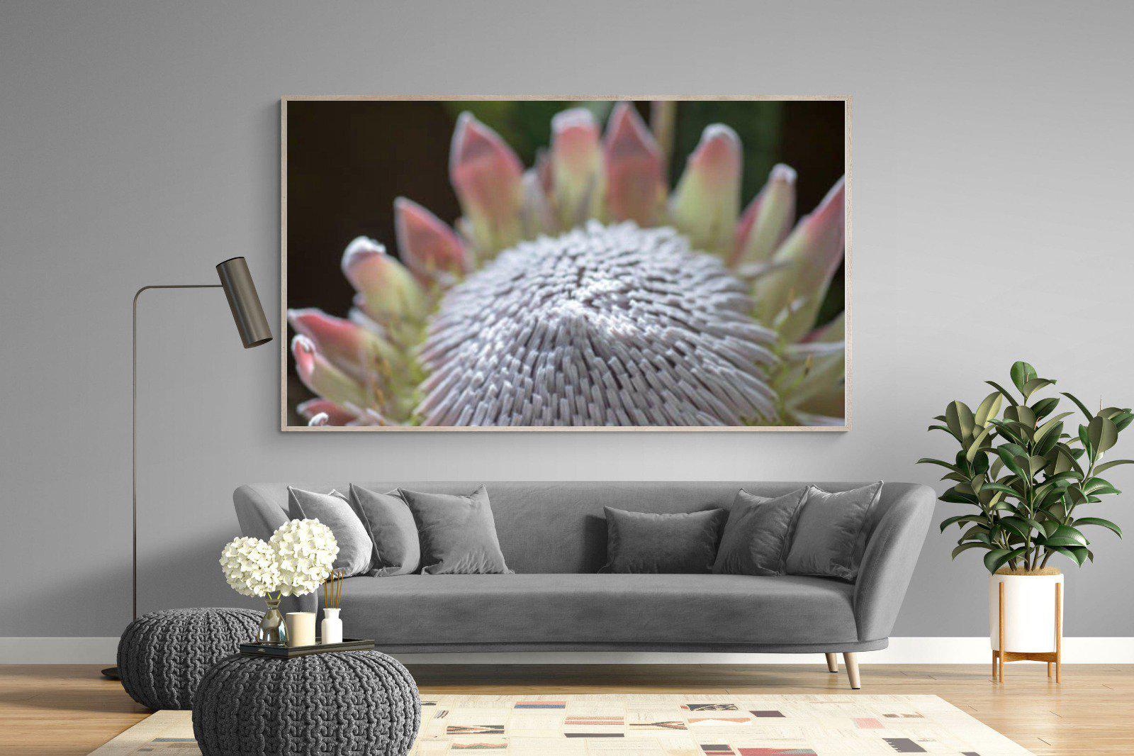 Protea Bloom-Wall_Art-220 x 130cm-Mounted Canvas-Wood-Pixalot