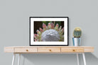 Protea Bloom-Wall_Art-80 x 60cm-Framed Print-Black-Pixalot