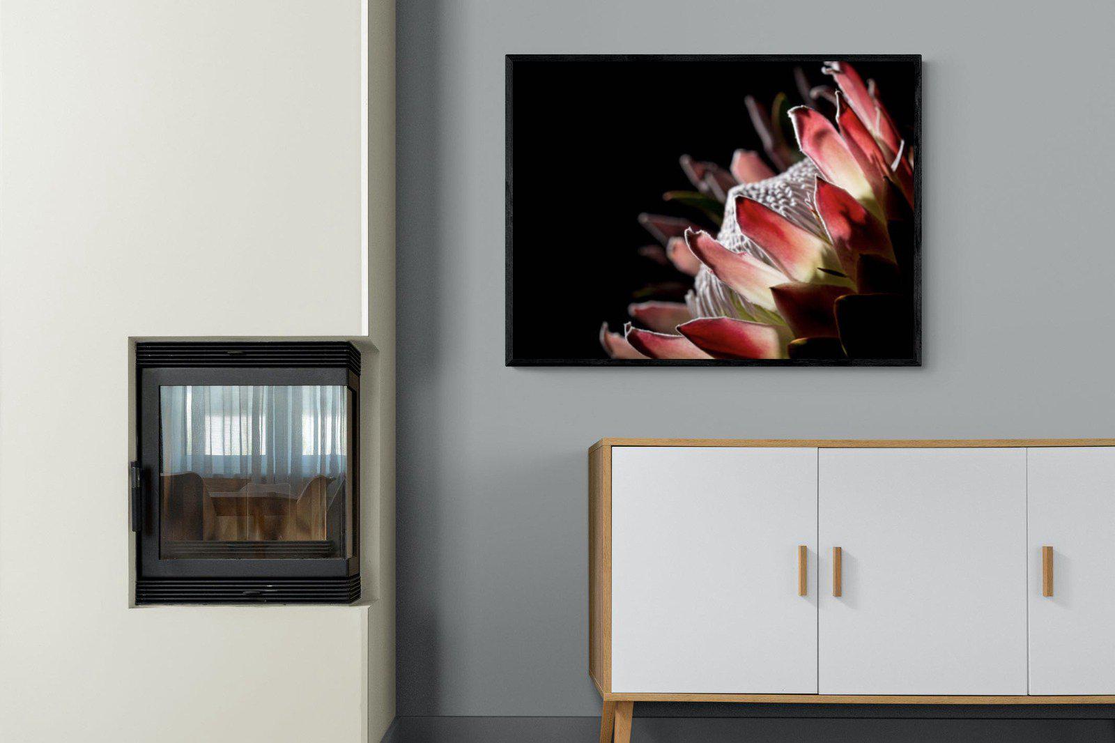 Protea-Wall_Art-100 x 75cm-Mounted Canvas-Black-Pixalot