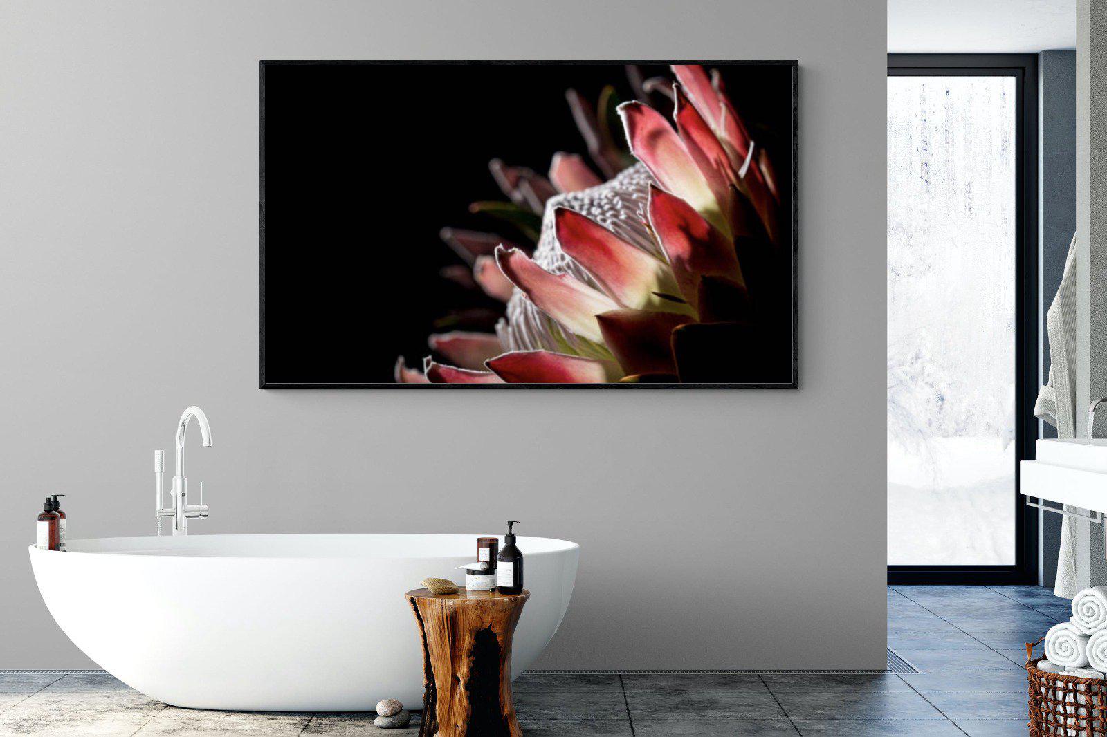 Protea-Wall_Art-180 x 110cm-Mounted Canvas-Black-Pixalot