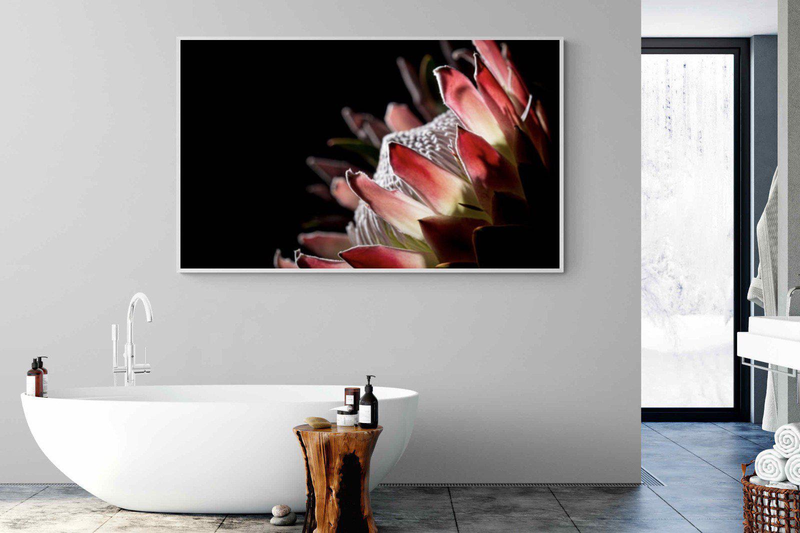 Protea-Wall_Art-180 x 110cm-Mounted Canvas-White-Pixalot