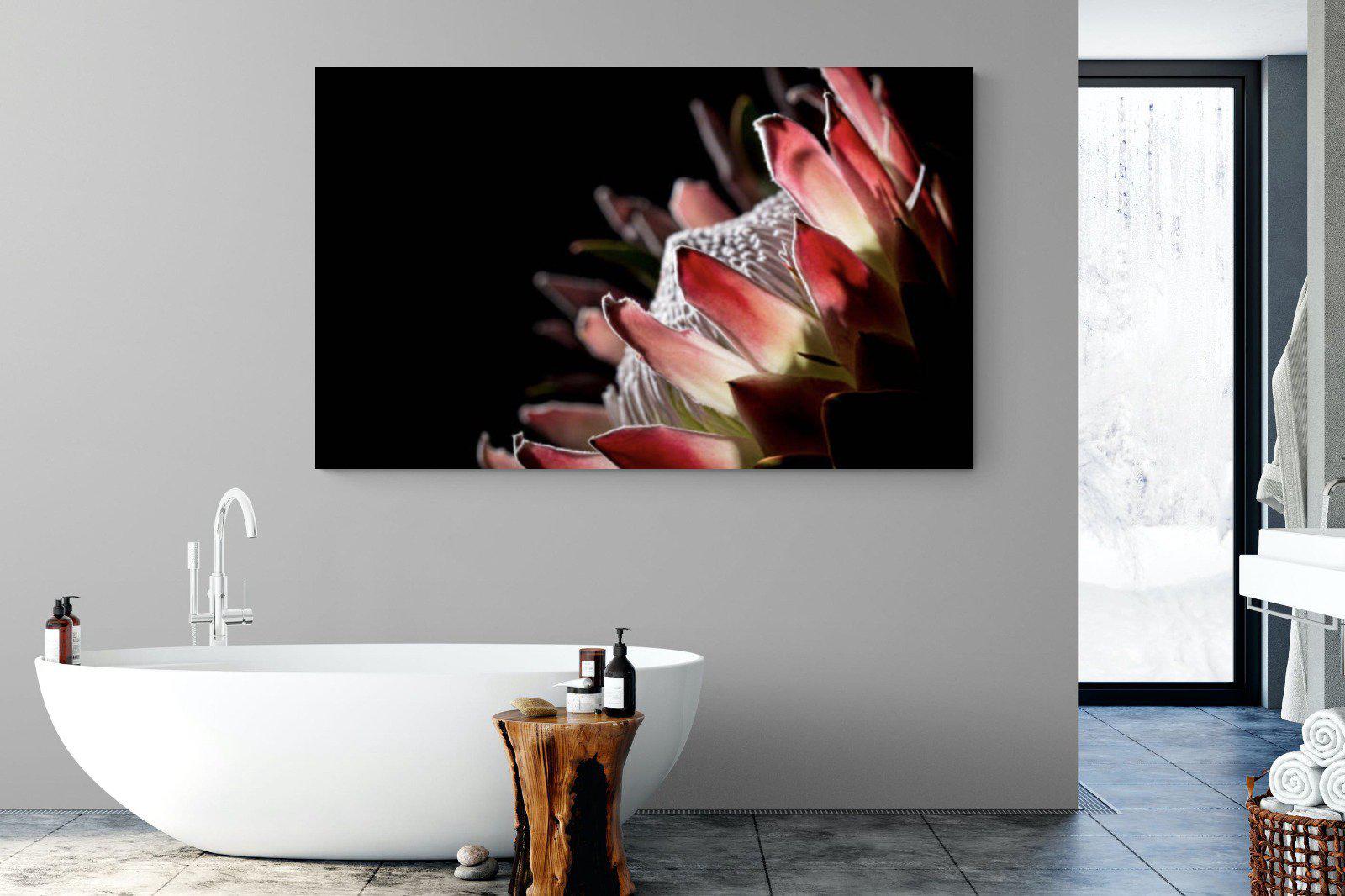 Protea-Wall_Art-180 x 110cm-Mounted Canvas-No Frame-Pixalot