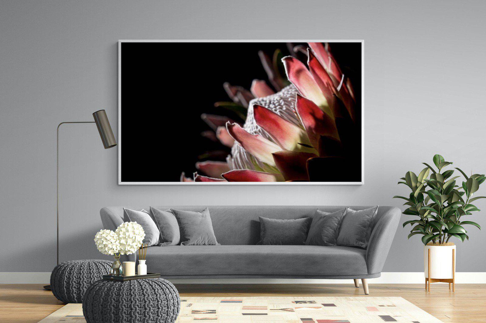 Protea-Wall_Art-220 x 130cm-Mounted Canvas-White-Pixalot