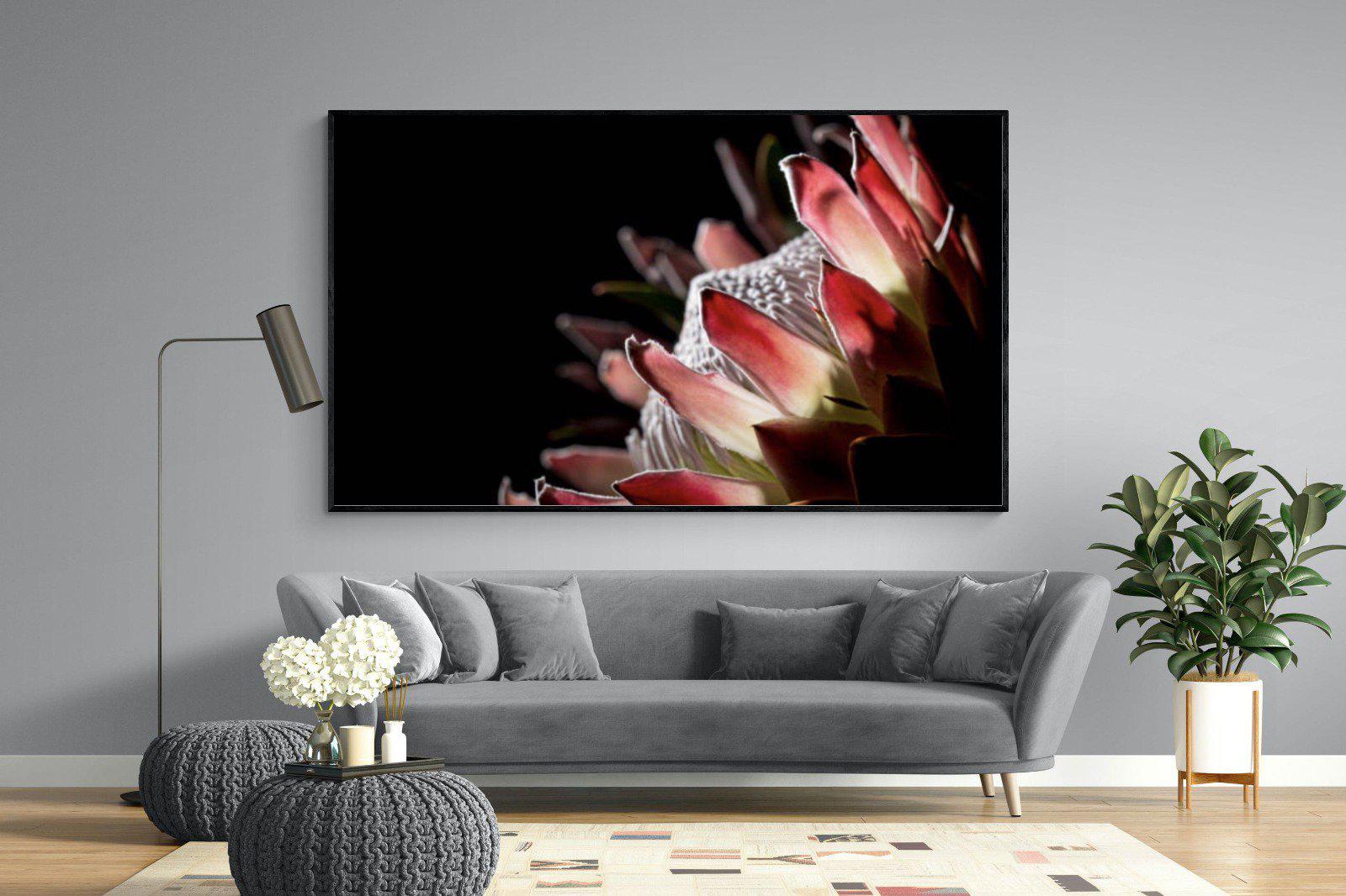 Protea-Wall_Art-220 x 130cm-Mounted Canvas-Black-Pixalot