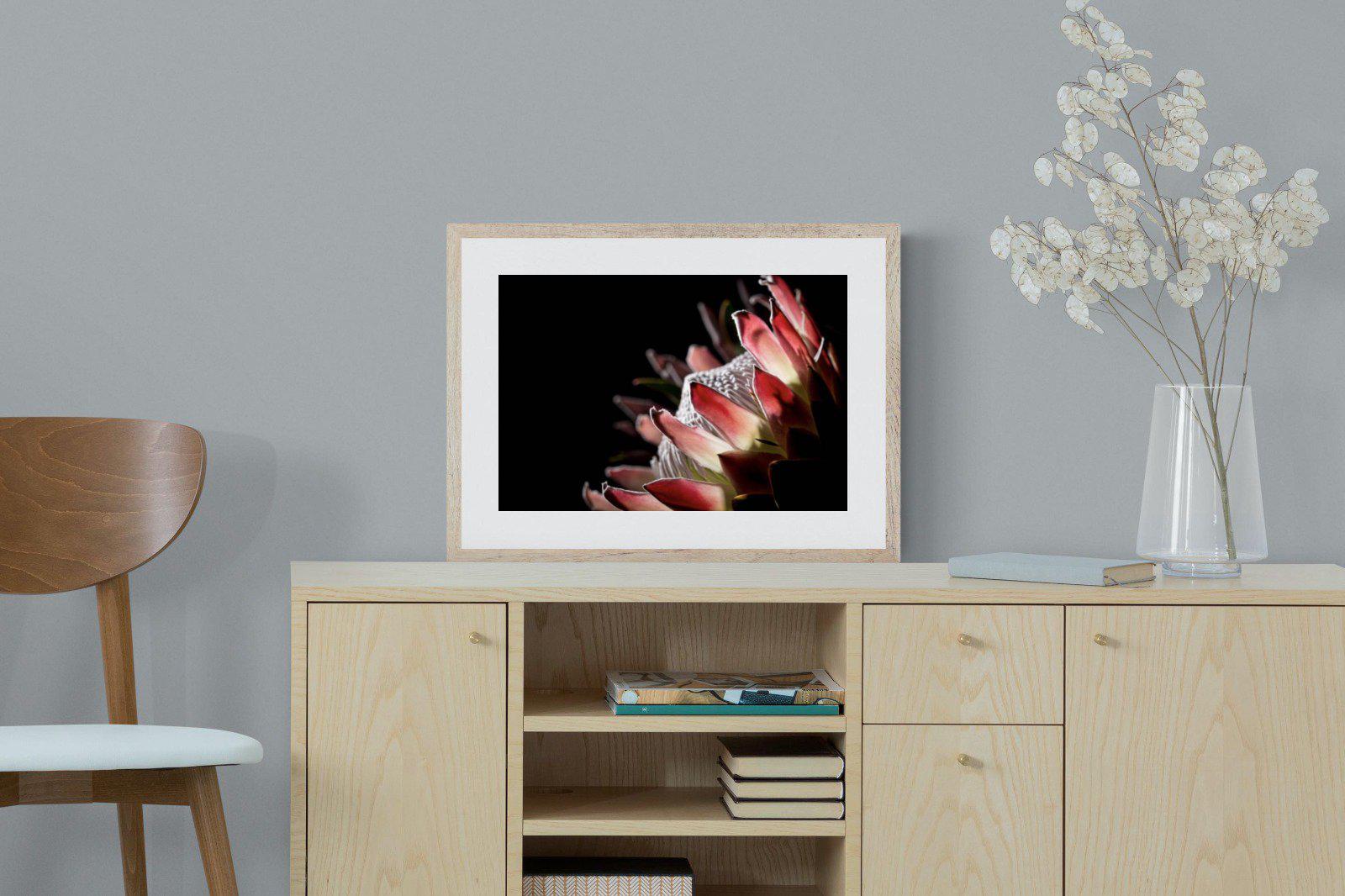 Protea-Wall_Art-60 x 45cm-Framed Print-Wood-Pixalot