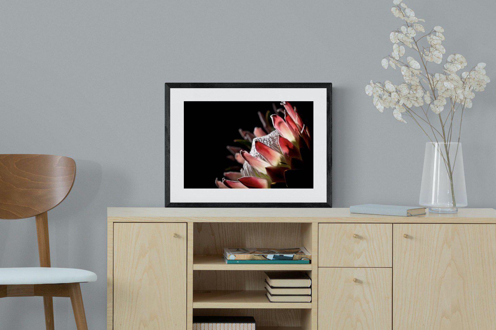 Protea-Wall_Art-60 x 45cm-Framed Print-Black-Pixalot