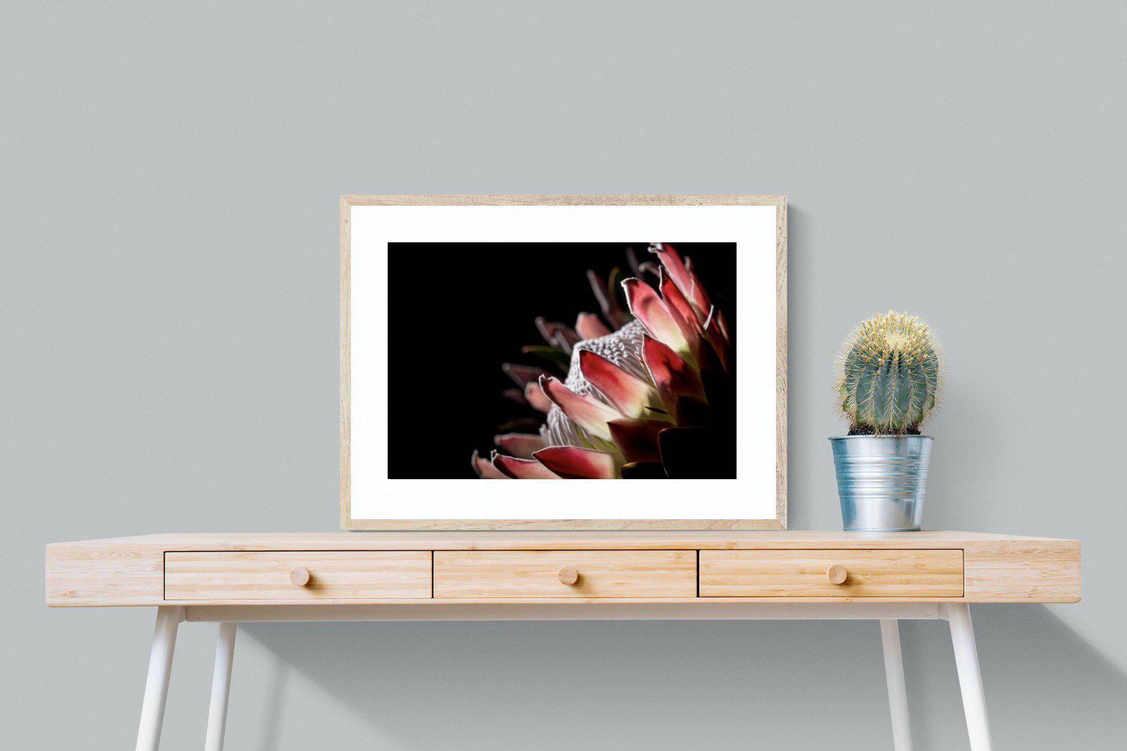 Protea-Wall_Art-80 x 60cm-Framed Print-Wood-Pixalot