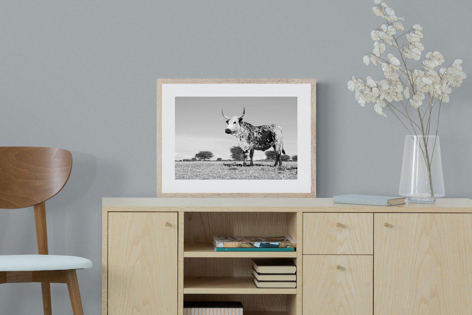 Proud Nguni-Wall_Art-60 x 45cm-Framed Print-Wood-Pixalot
