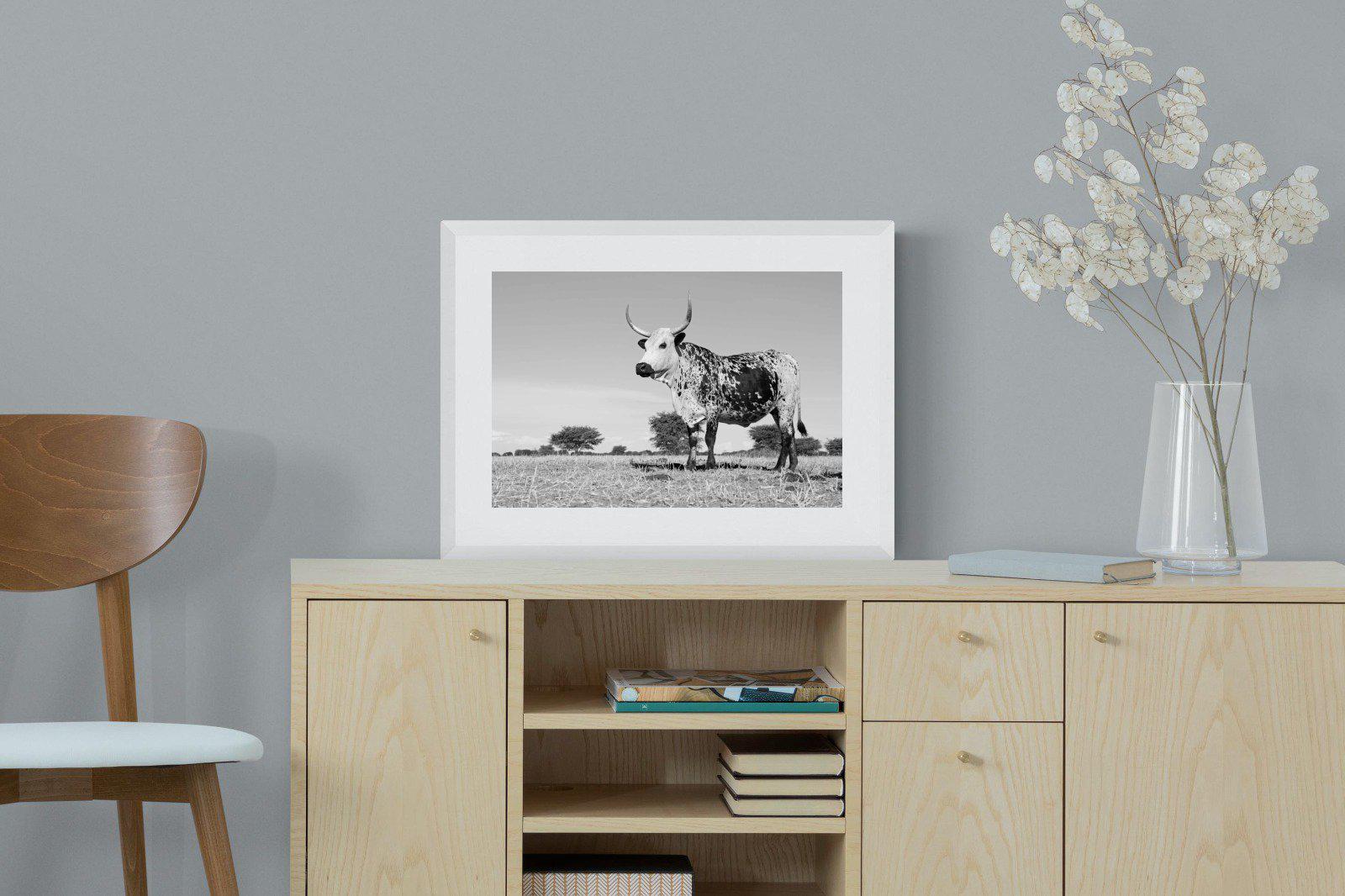 Proud Nguni-Wall_Art-60 x 45cm-Framed Print-White-Pixalot