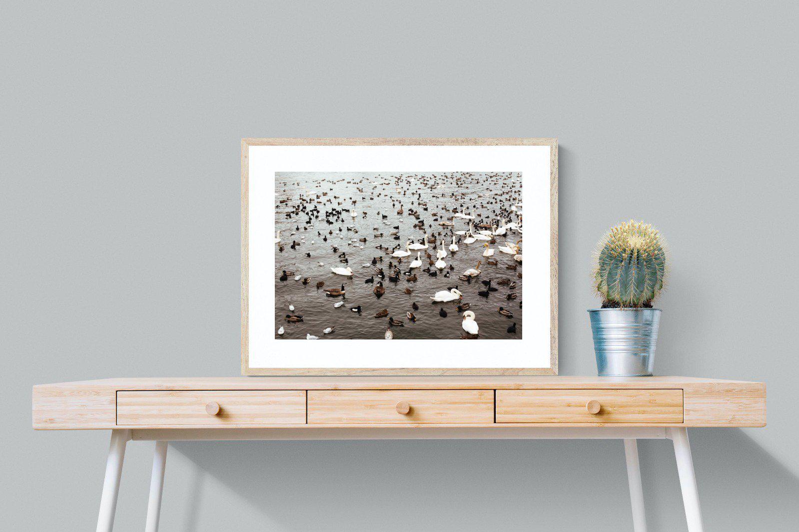 Quack-Wall_Art-80 x 60cm-Framed Print-Wood-Pixalot