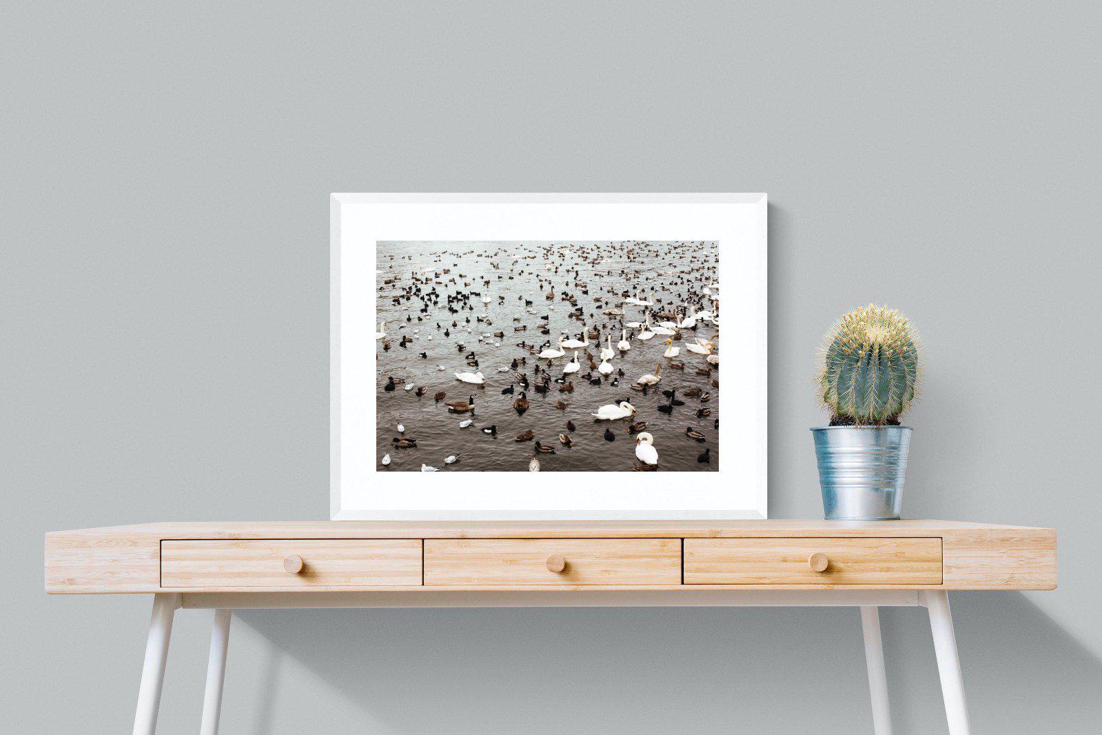Quack-Wall_Art-80 x 60cm-Framed Print-White-Pixalot