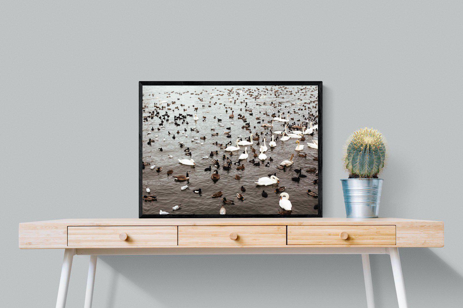 Quack-Wall_Art-80 x 60cm-Mounted Canvas-Black-Pixalot
