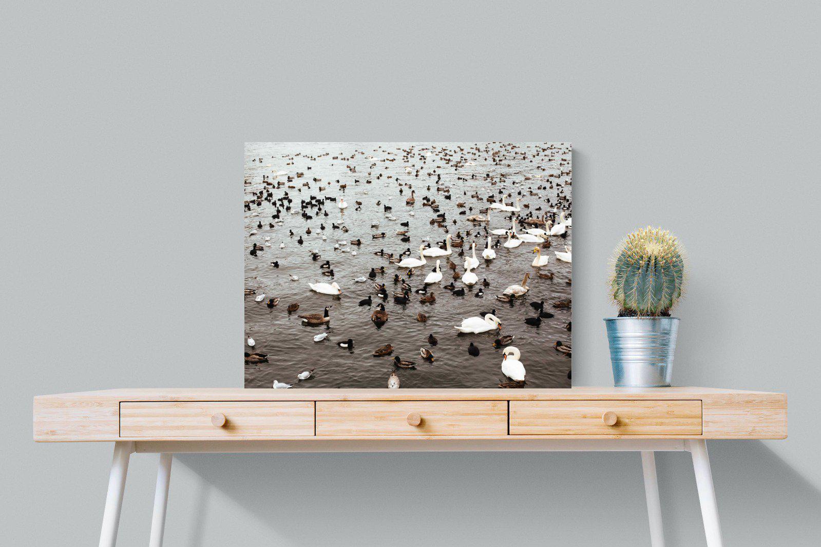 Quack-Wall_Art-80 x 60cm-Mounted Canvas-No Frame-Pixalot