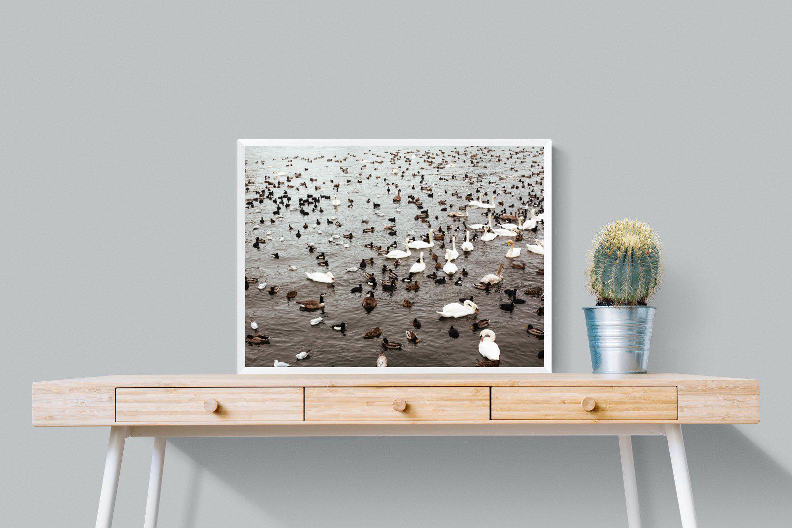 Quack-Wall_Art-80 x 60cm-Mounted Canvas-White-Pixalot