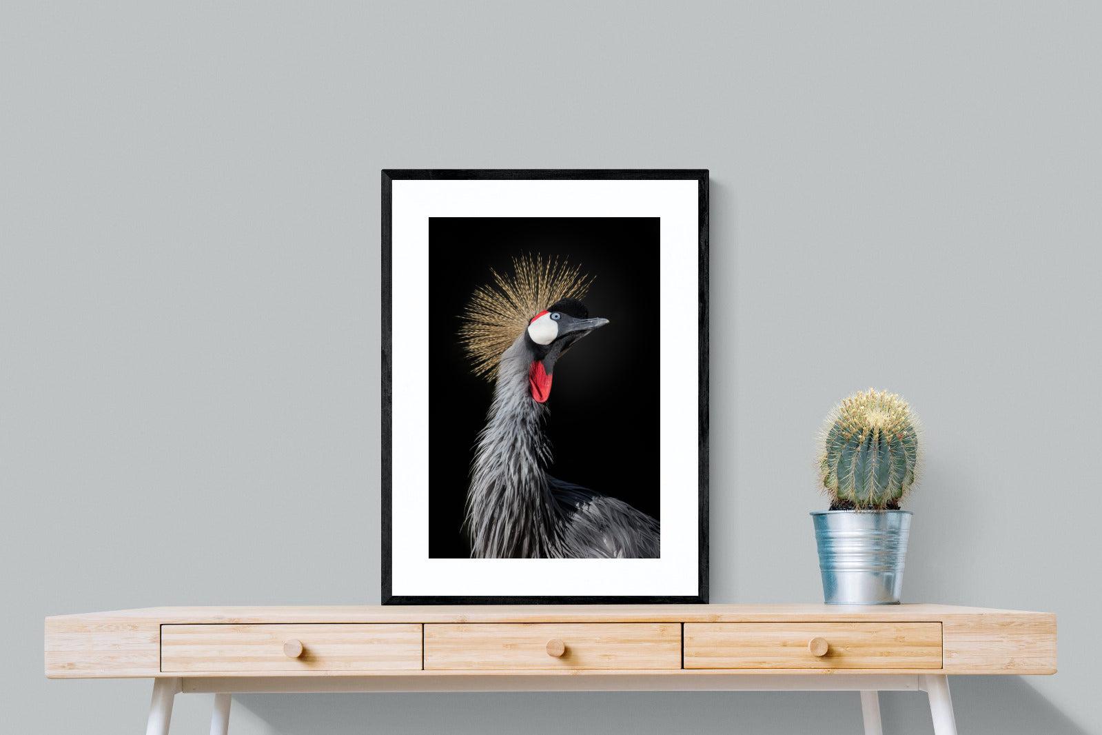 Queen Crane-Wall_Art-60 x 80cm-Framed Print-Black-Pixalot